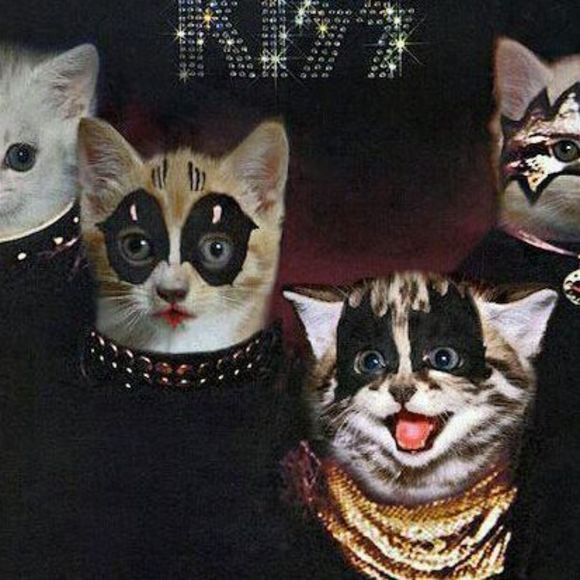 Meet your Posher, Kelly - Picture 1 of 1